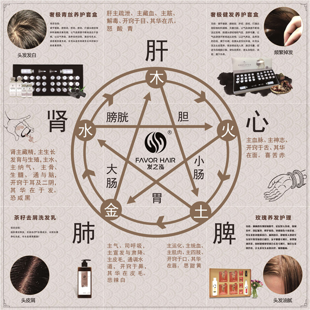 发之泓：传承经典五维头发健康管理